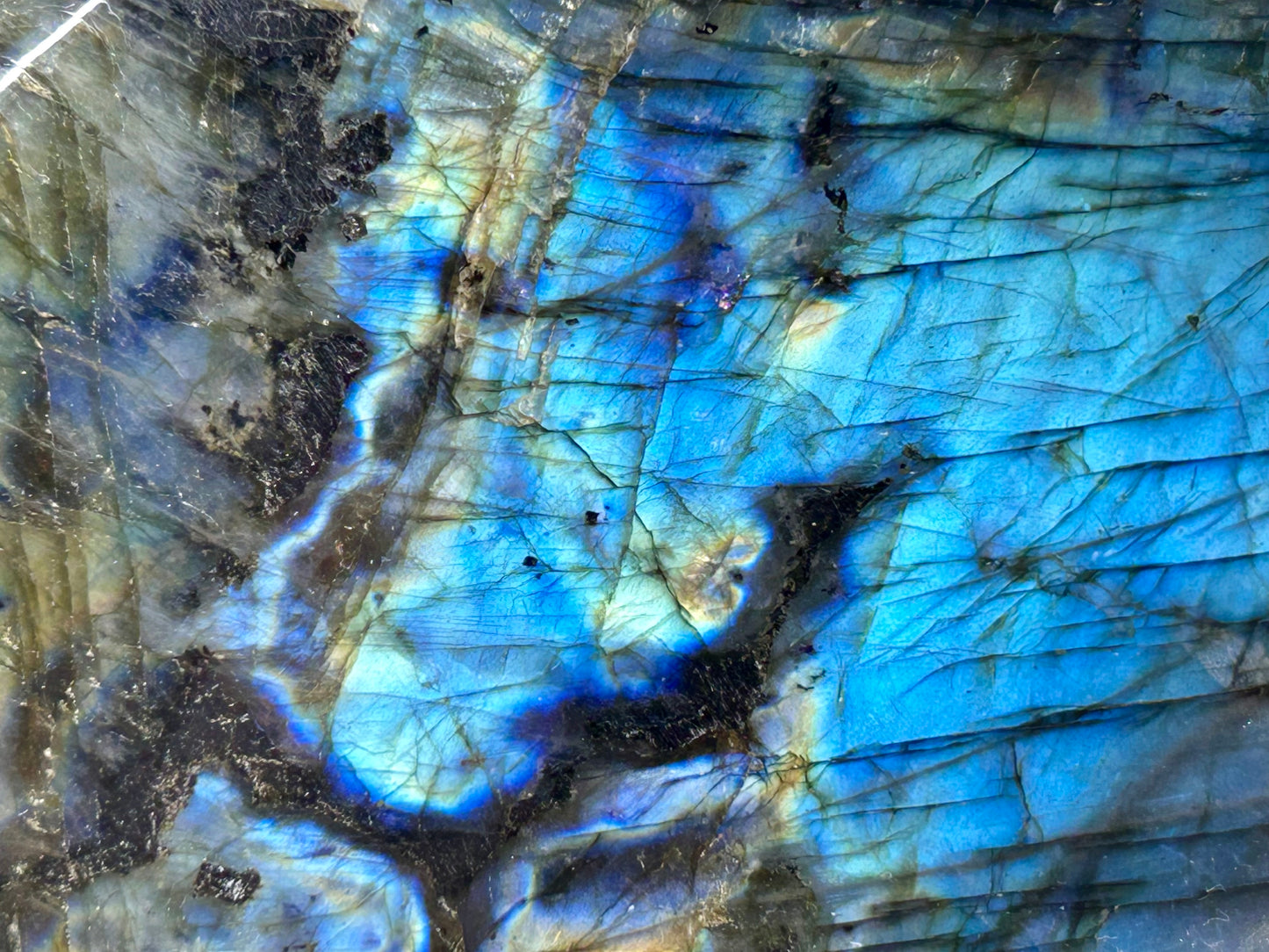 Forme libre de labradorite