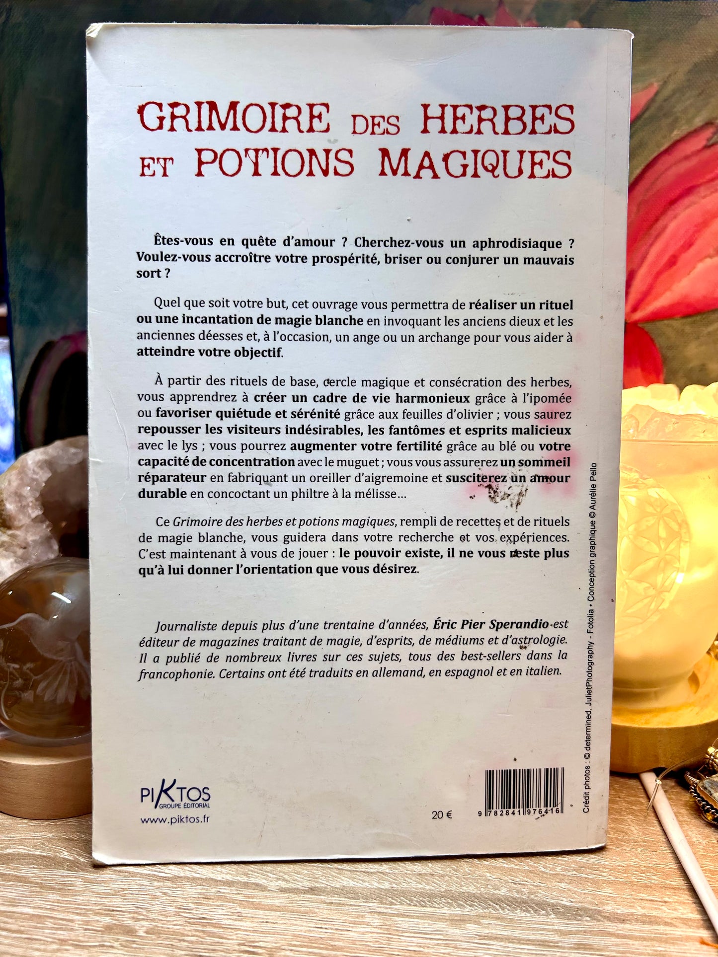 Occasion Grimoire des herbes et potions magiques