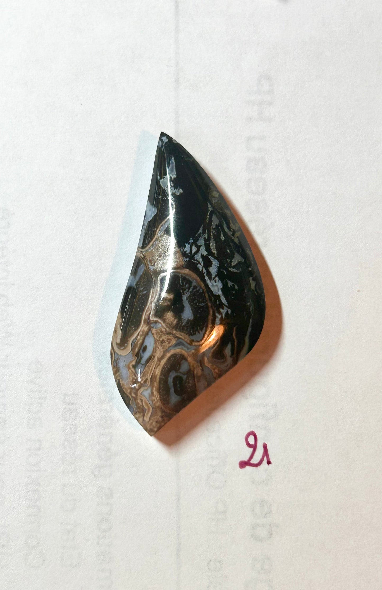 AGATE RACINE DE PALMIER - PRIX SPÉCIAL