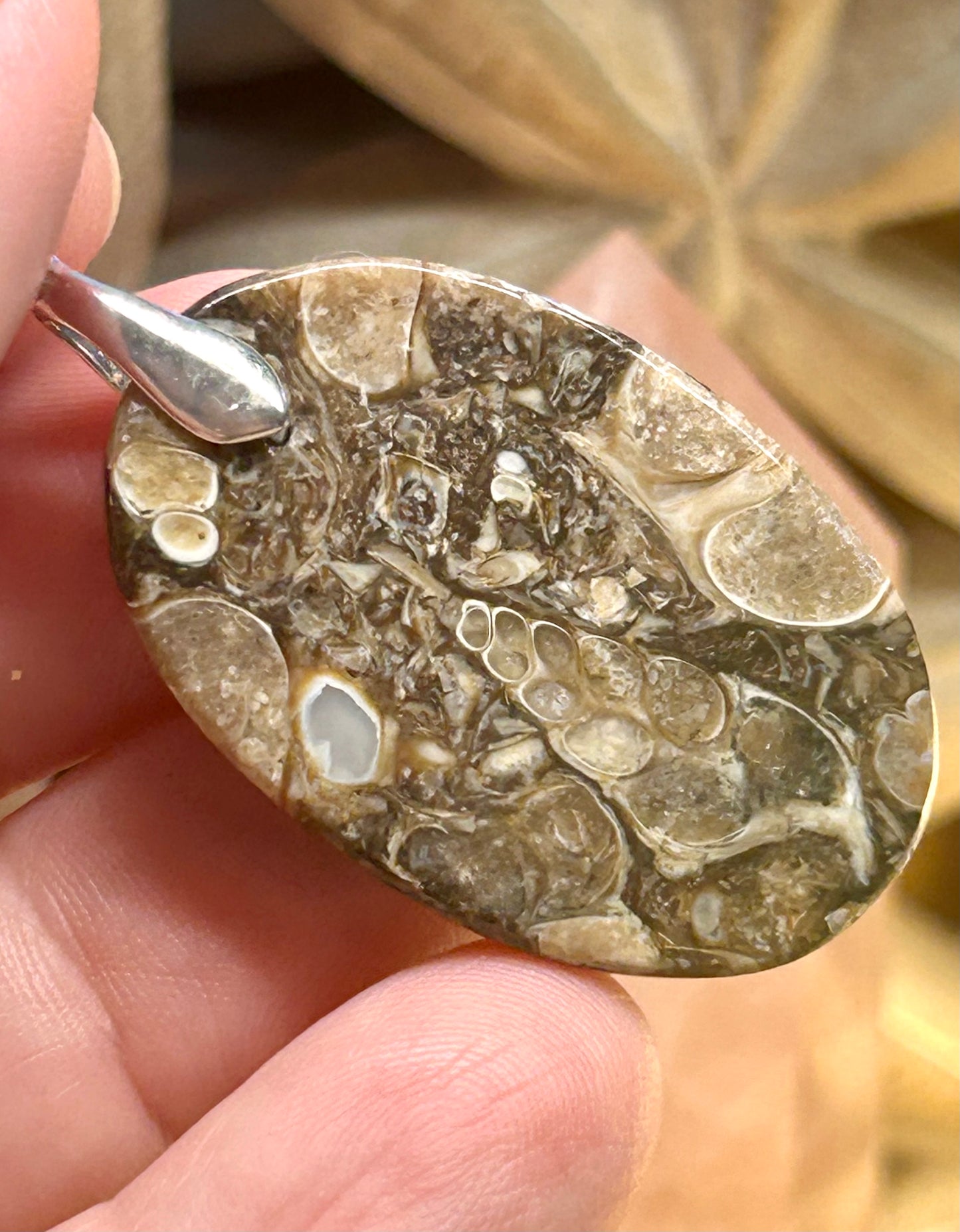 Pendentif de corail fossilisé