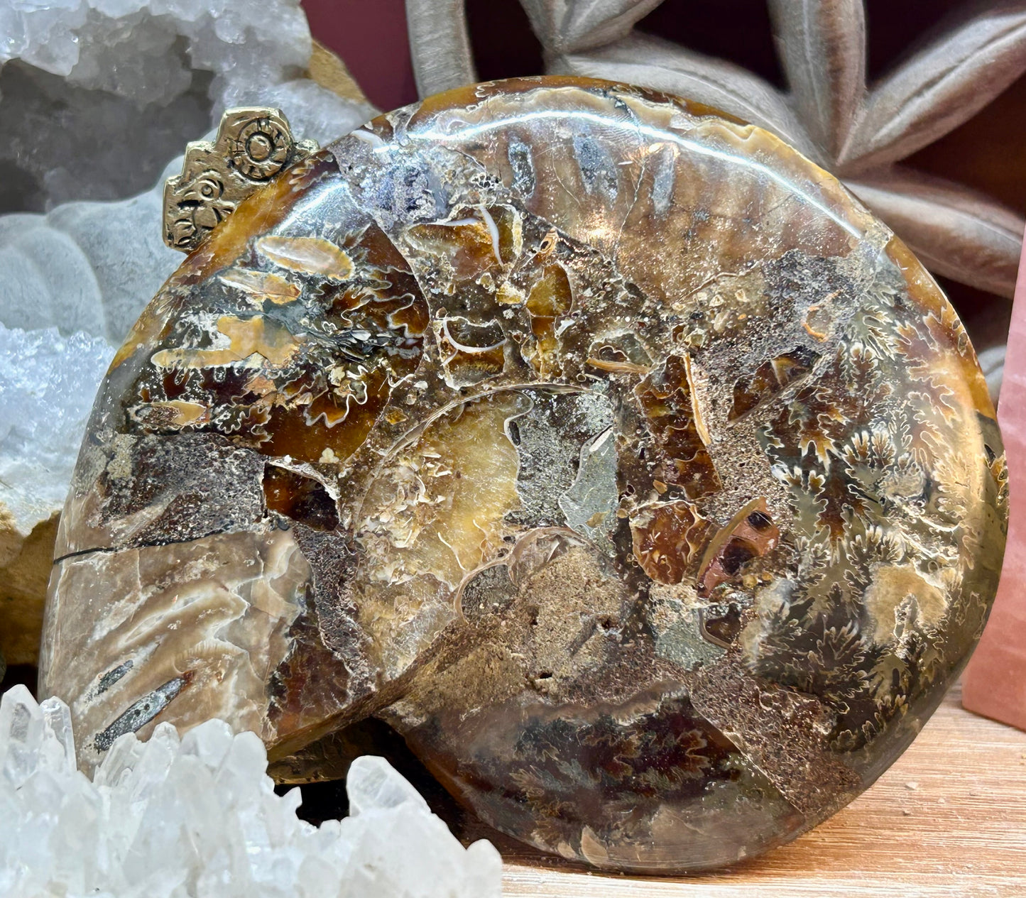 Coquillage d’ammonite opalisée - 2