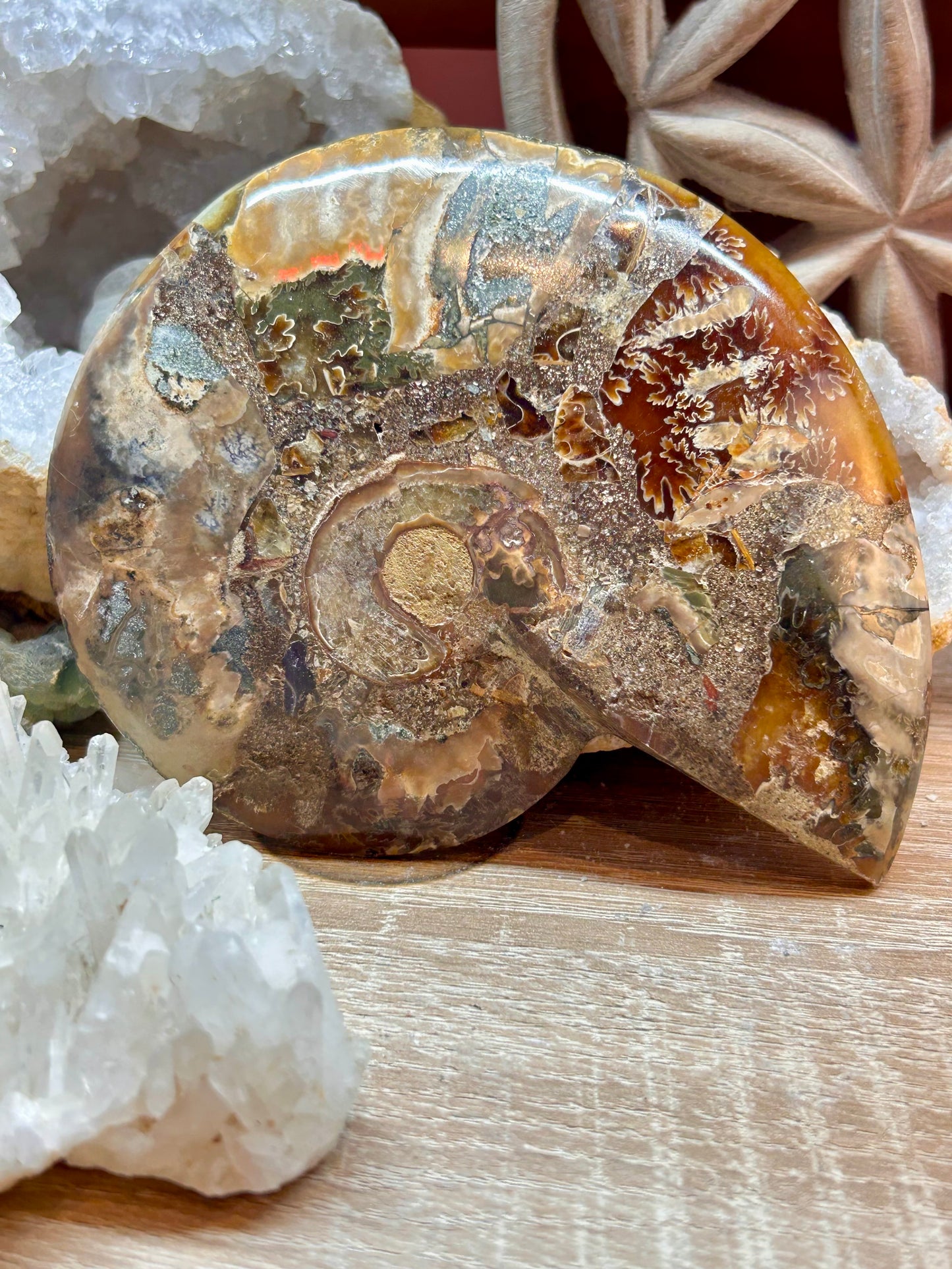 Coquillage d’ammonite opalisée 1