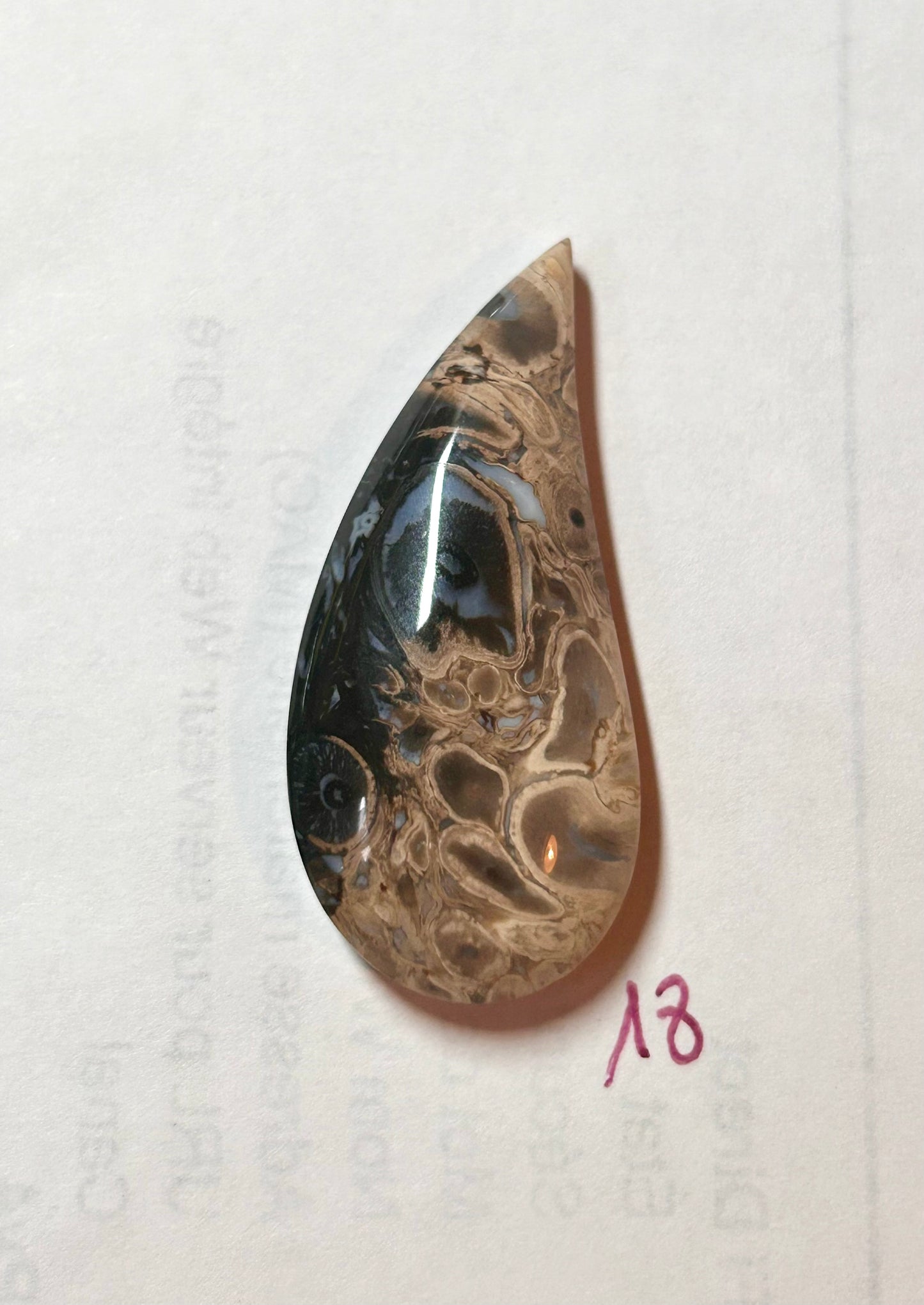 AGATE RACINE DE PALMIER - PRIX SPÉCIAL