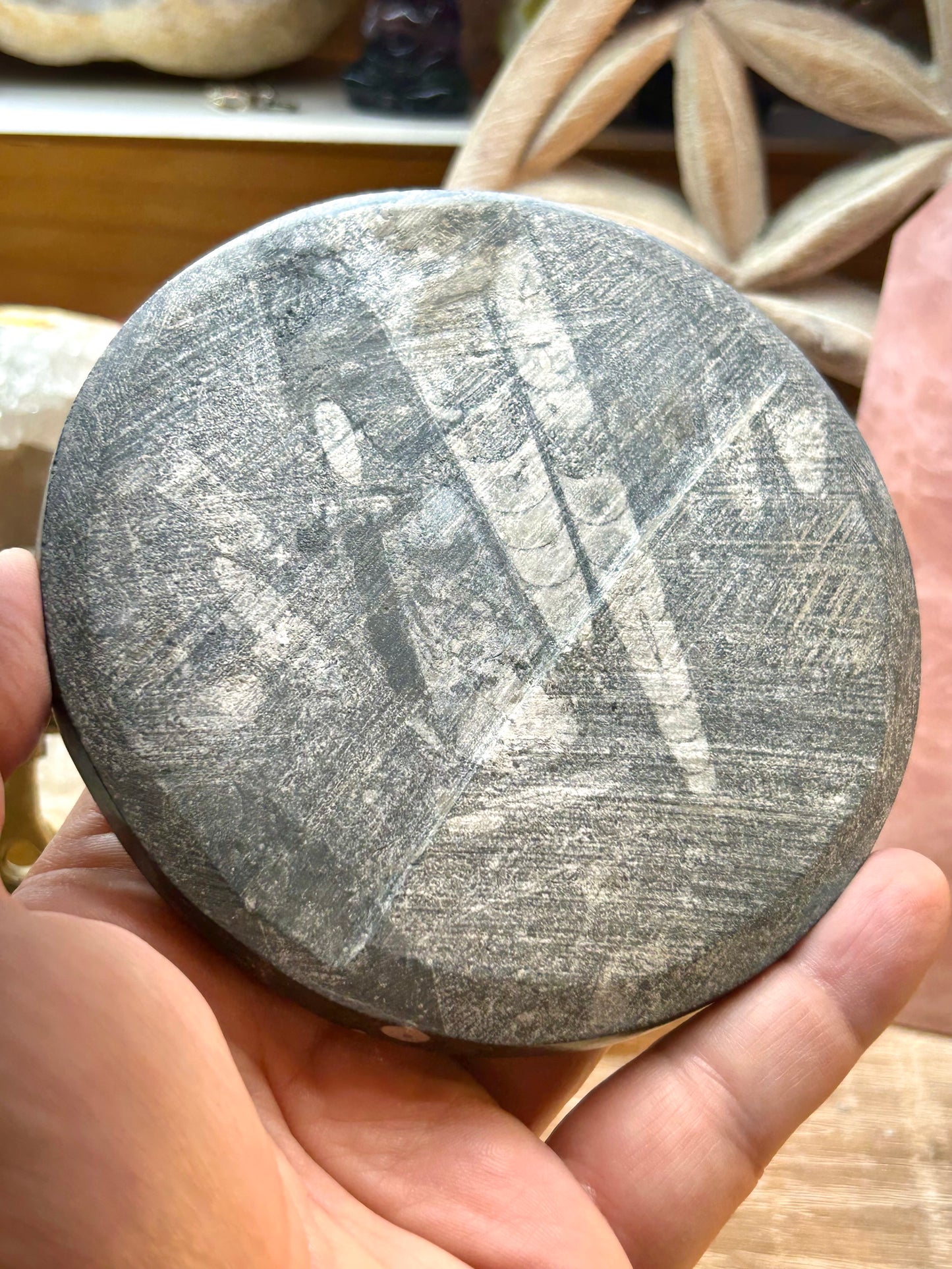 Plaque d’orthoceras avec cube de Metatron et Solides de Platon