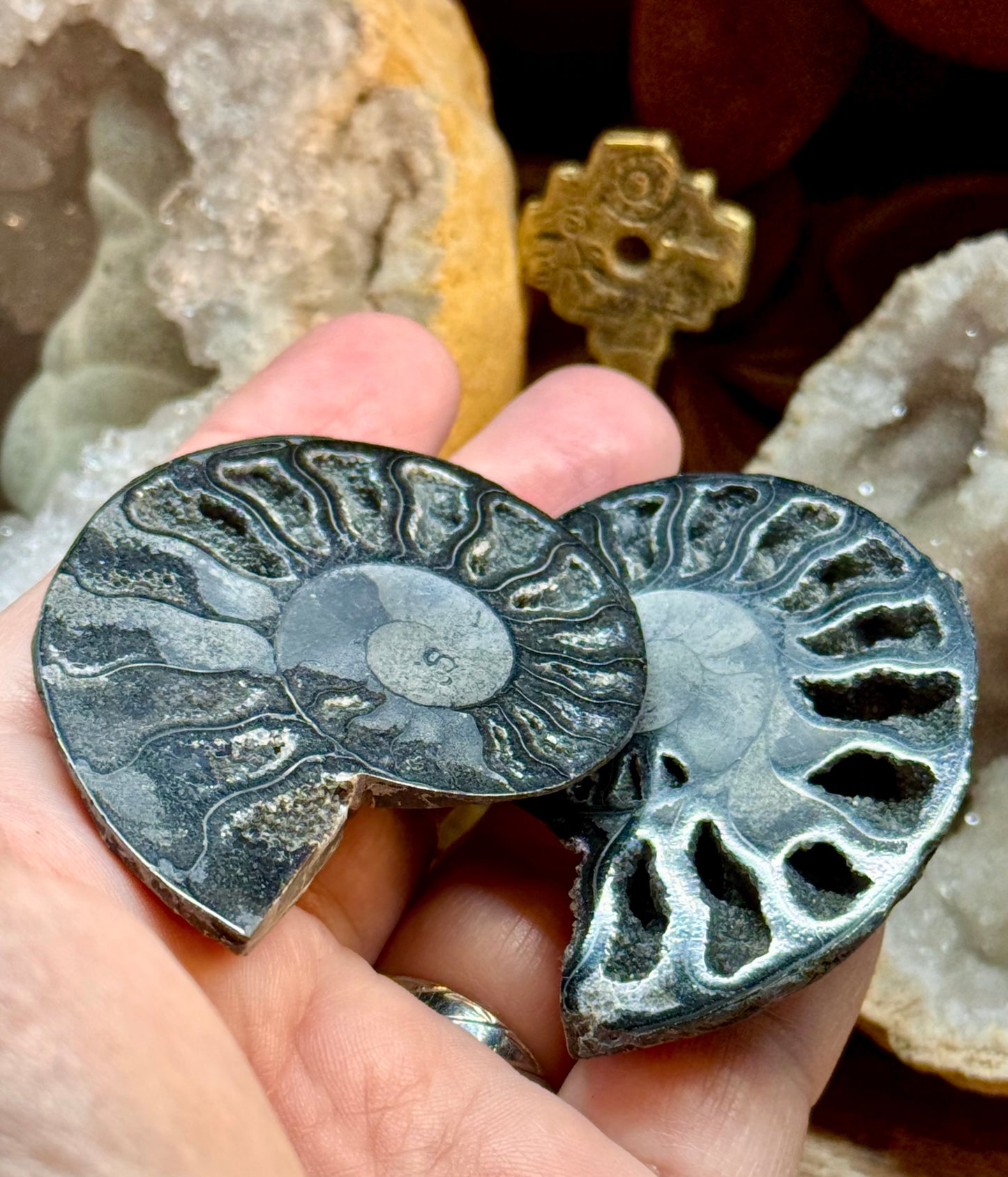 Paire d’ammonite noire fossilisée cristallisée 1