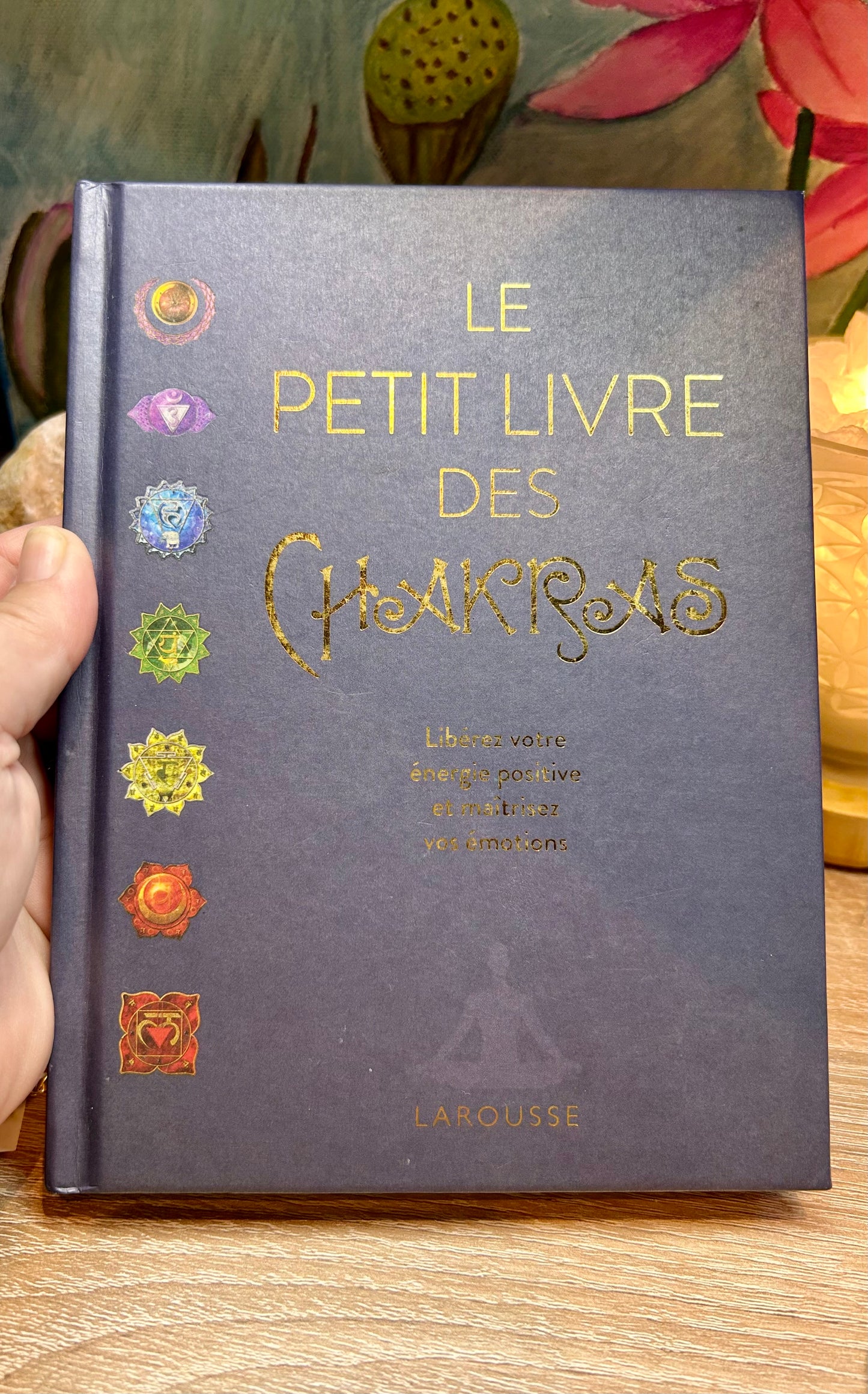 Occasion : Le petit livre des chakras