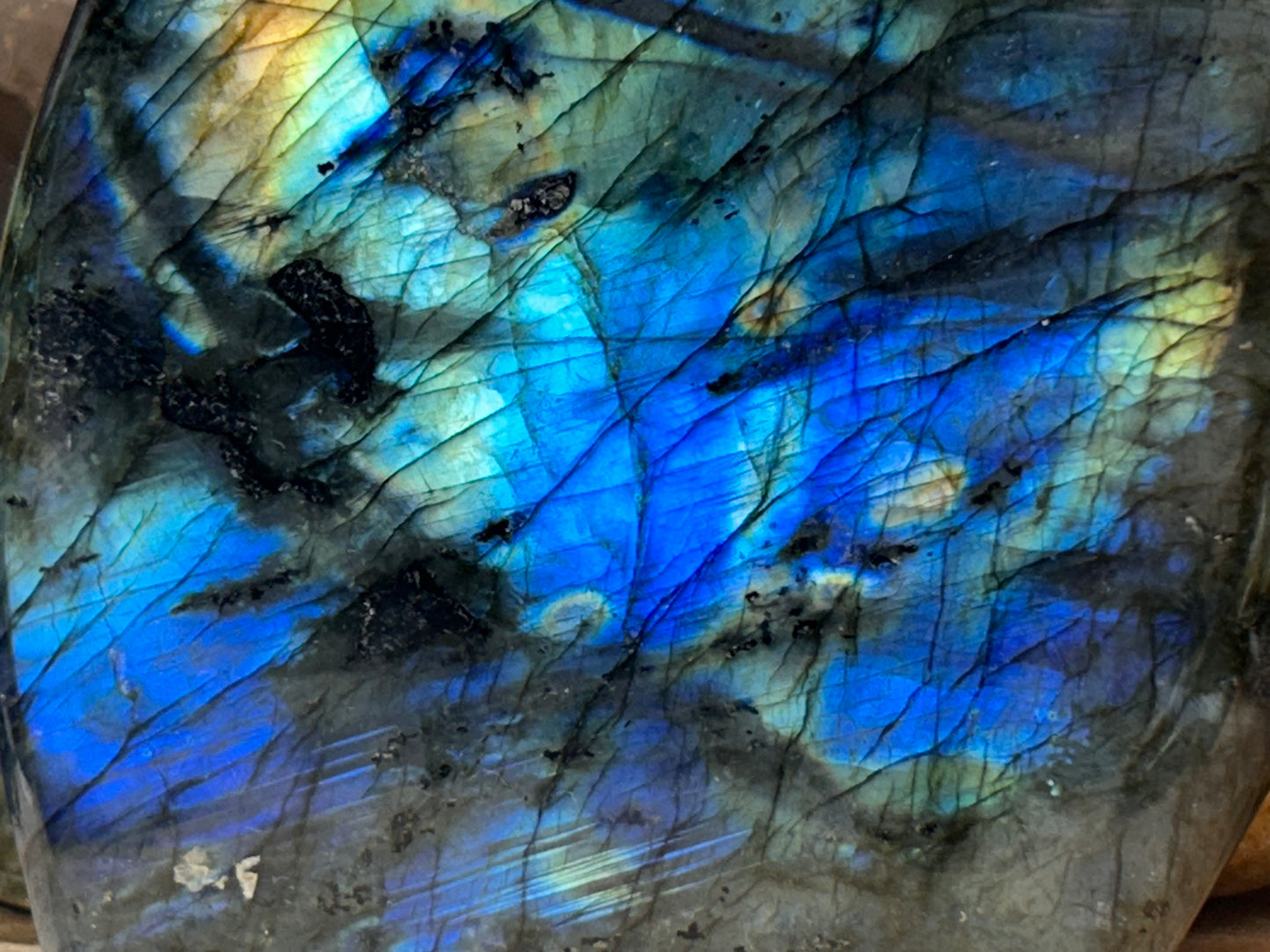 Forme libre de labradorite