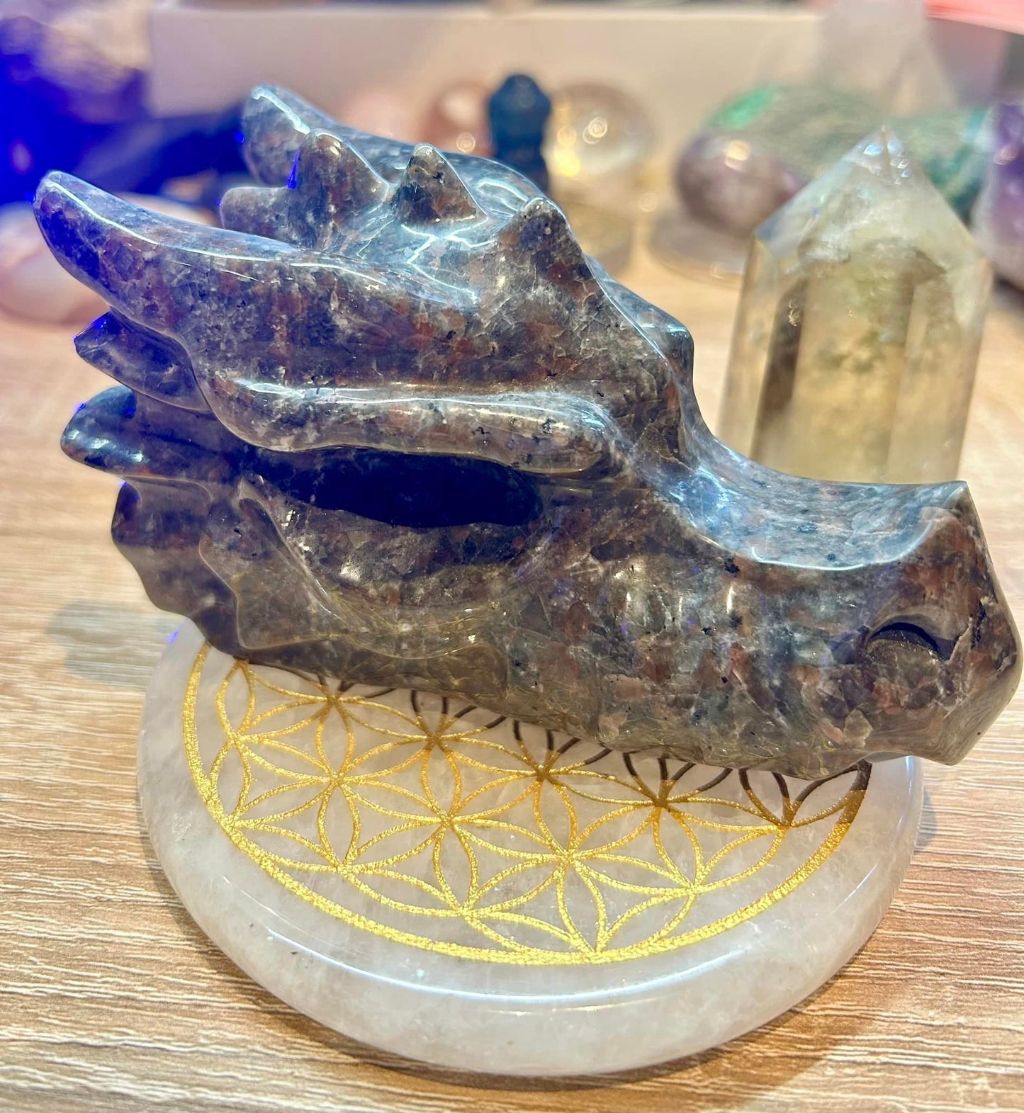 Tête de dragon en yooperlite