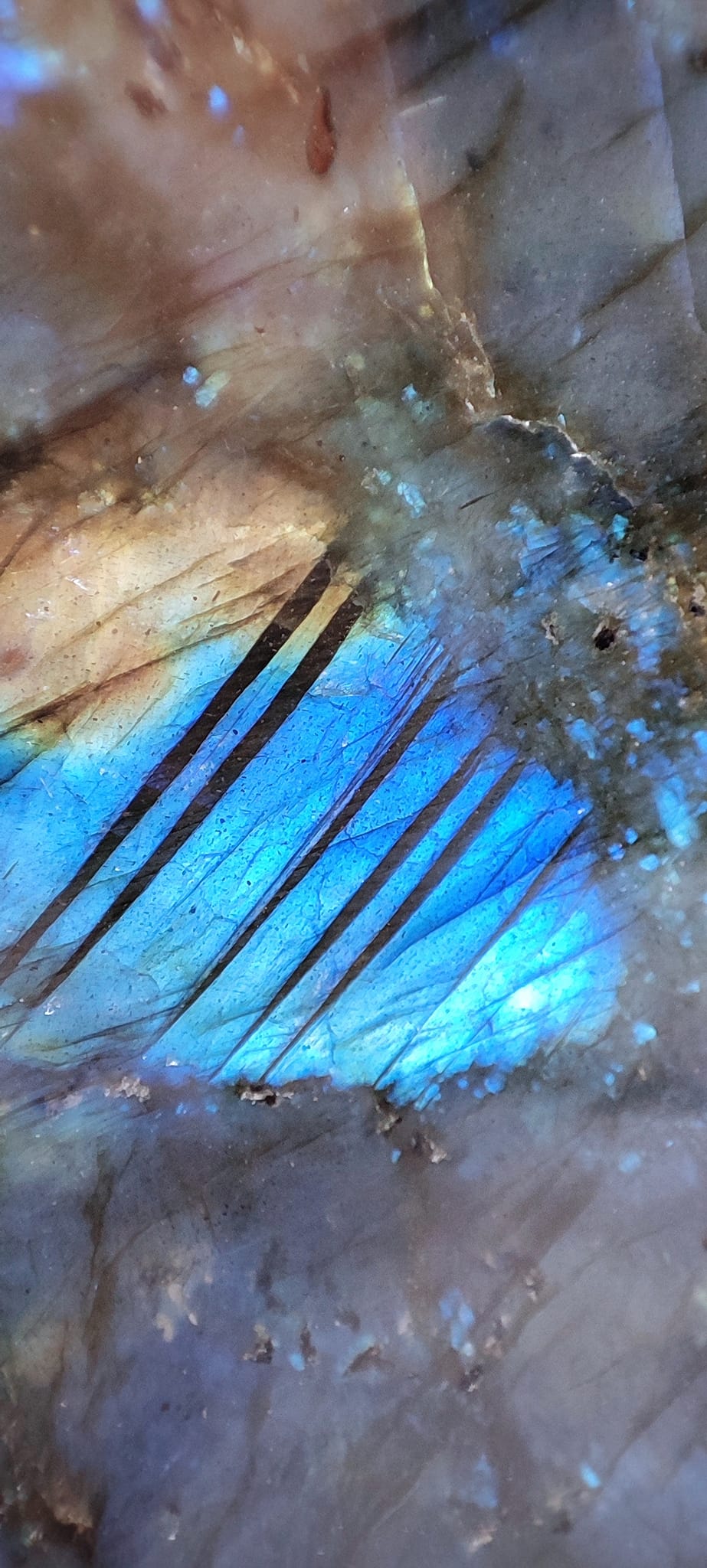 forme libre labradorite